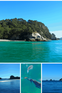 Mercury Bay Coromandel Peninsula NZ