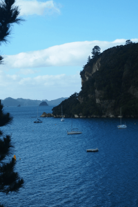 Coromandel Peninsula NZ