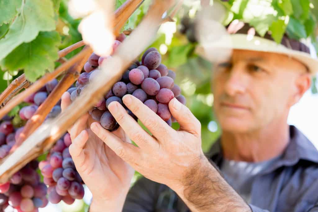 itinerant jobs for older workers