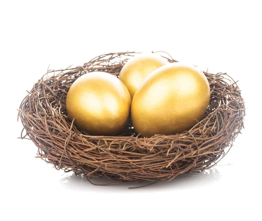 Does your nest egg give you enough money to retire?