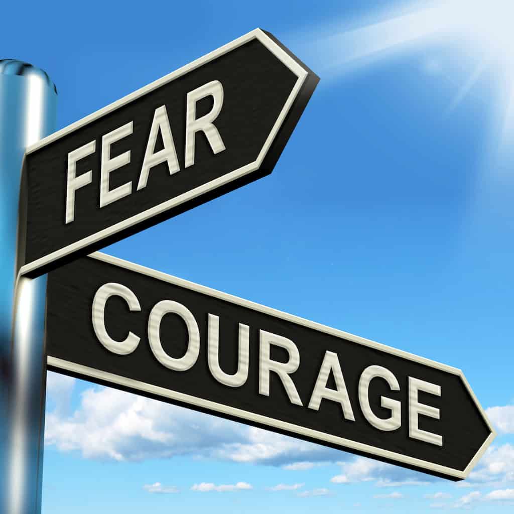 between fear, courage and wisdom